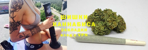 ГАЛЛЮЦИНОГЕННЫЕ ГРИБЫ Бородино