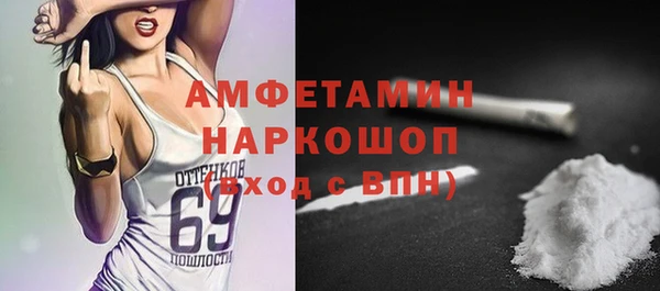 ГАЛЛЮЦИНОГЕННЫЕ ГРИБЫ Бородино