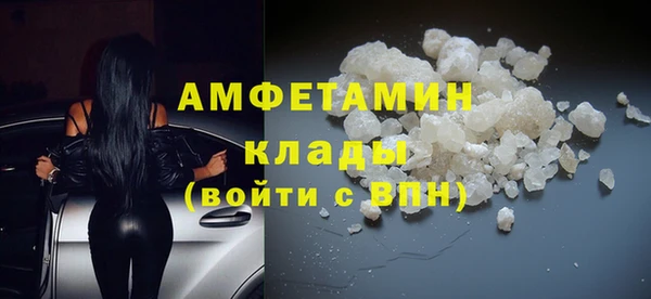 ГАЛЛЮЦИНОГЕННЫЕ ГРИБЫ Бородино