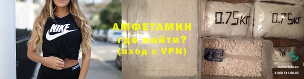ГАЛЛЮЦИНОГЕННЫЕ ГРИБЫ Бородино