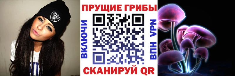Купить закладки  Верея  Галлюциногенные грибы мухоморы 
