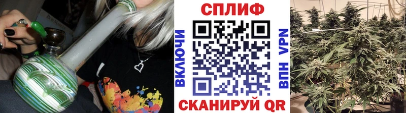 Купить где  Верея  Конопля THC 21% 